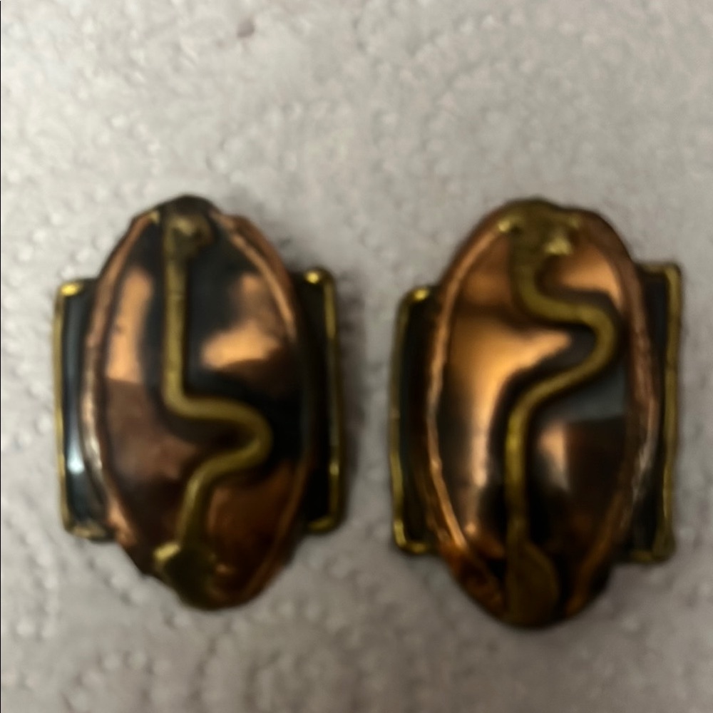 Gold and Brown Women's Earrings